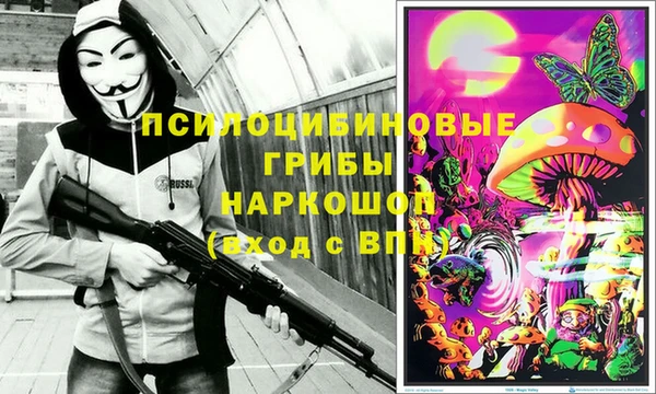ешки Алзамай