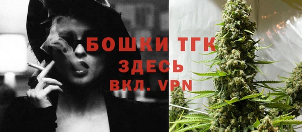 PSILOCYBIN Алексеевка